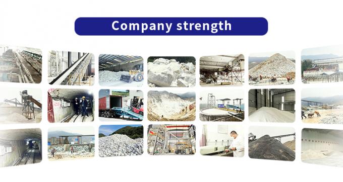 Guangdong XiMi New Material Technology Co., Ltd Visite d'usine