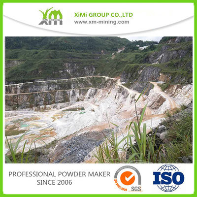 0,2% carbonates de calcium d'humidité saupoudrent la poudre blanche ISO9001 de CaCO3 de 98%